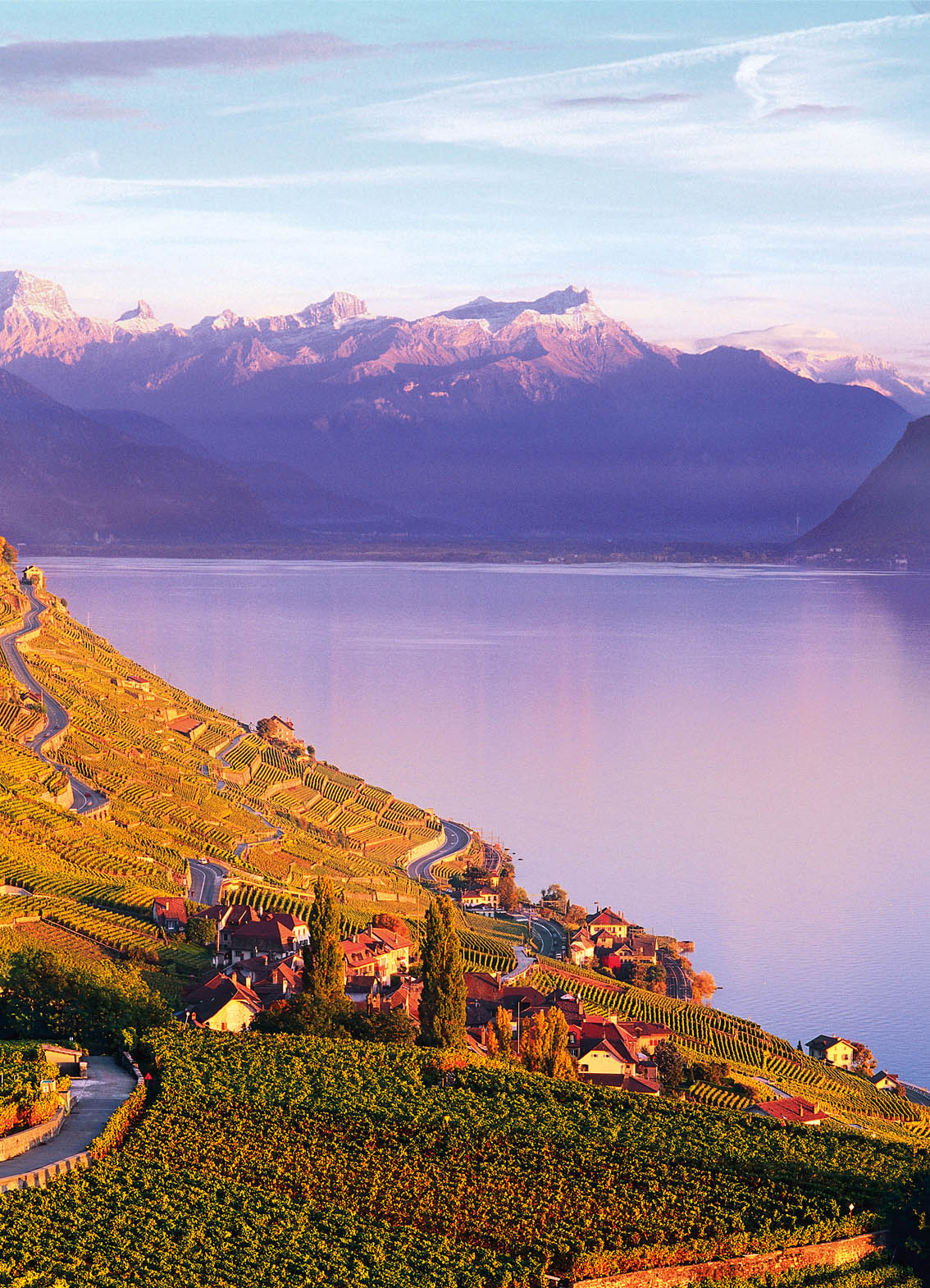 Illyssia.ch The Swiss Riviera